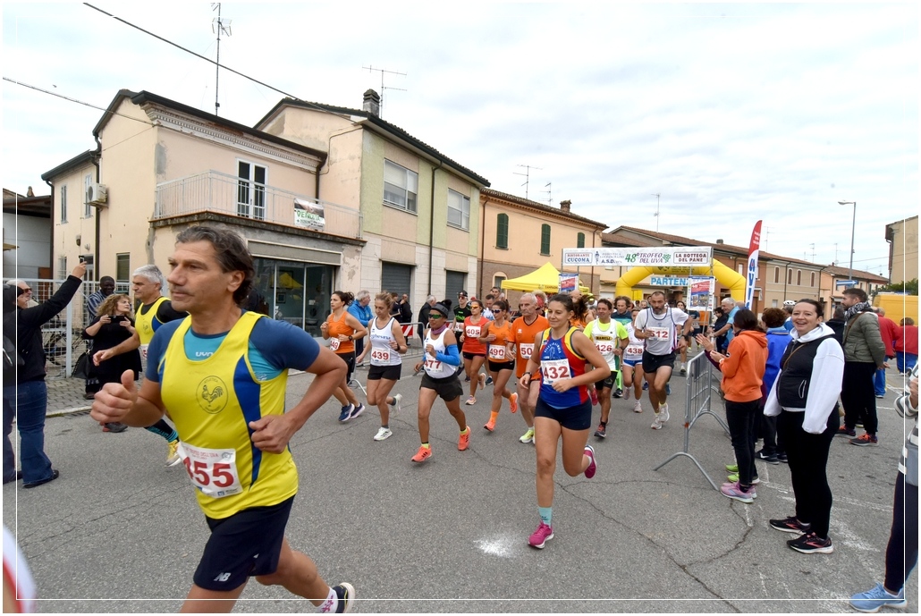 San Pancrazio: Trofeo dell'Uva - 13 ottobre 2024